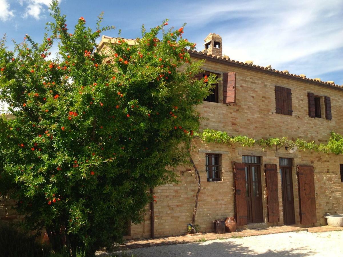 L'Infinito Bed & Breakfast Mombaroccio Exterior photo